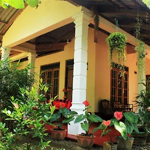 https://subha-home-stay.kandyhotelsnow.com